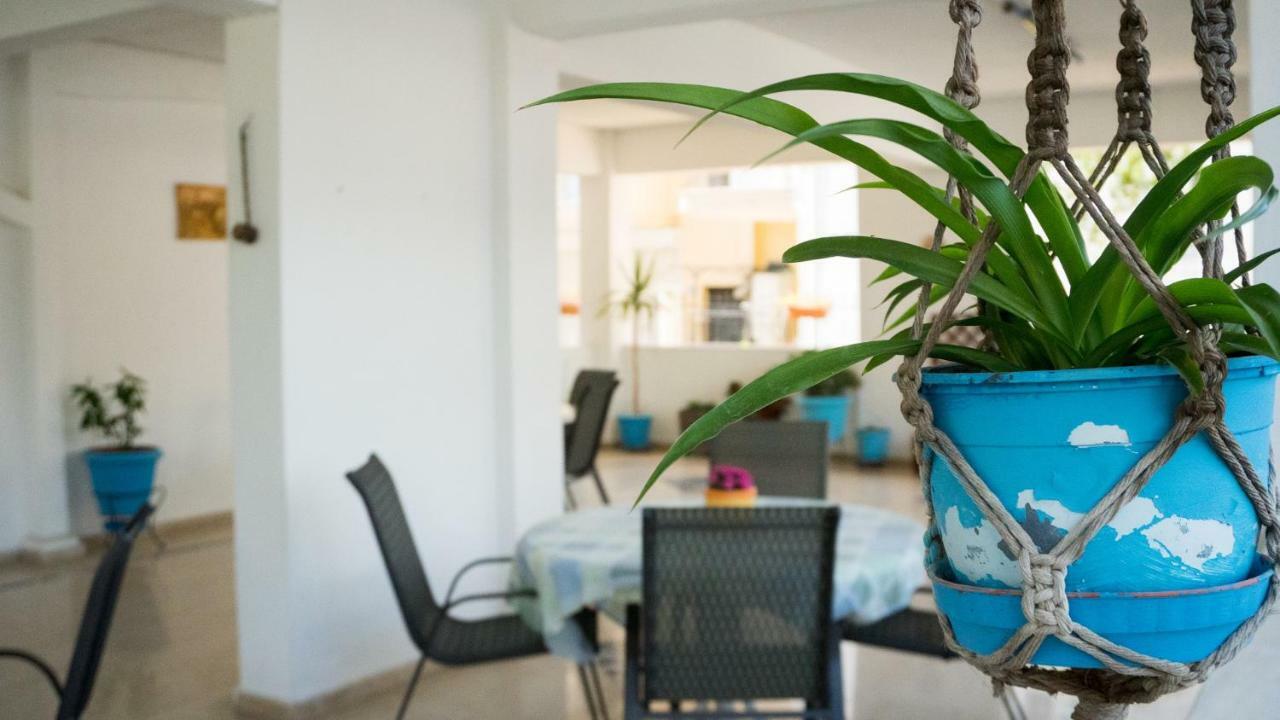 Niki Apartments Paralia Dionisiou Extérieur photo